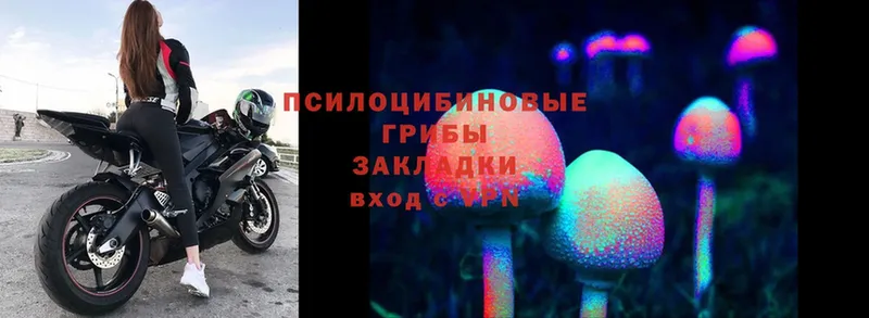 Псилоцибиновые грибы Magic Shrooms  кракен онион  Белый 